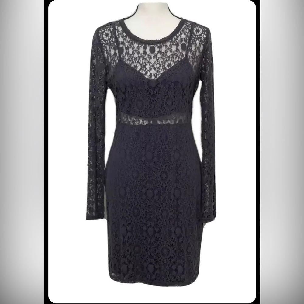 Black Swan Grey Lace Dress, Size Small